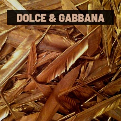 dolce and gabbana fendi and madonna remix|Dolce & Gabbana remix (lyrics) Dolce & Gabbana Fendi and then .